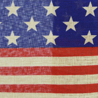 Wired American Flag Solid Ribbon