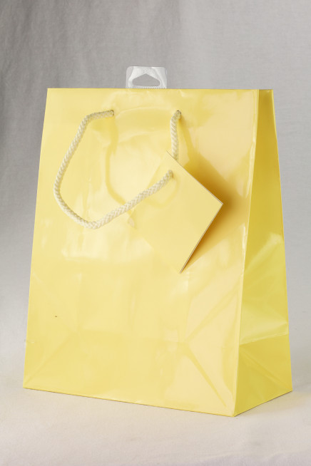 Solid Gift Bags Yellow