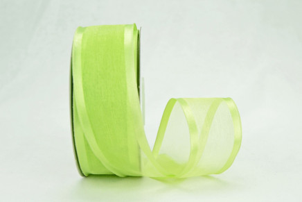 Wired Satin Edge Organza Mint