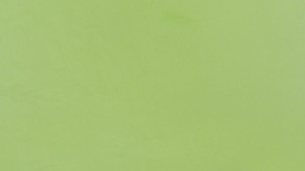 Tissue Paper Light Green