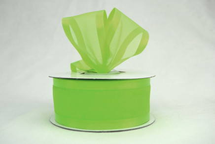 Satin Edge Sheer Organza Apple Green