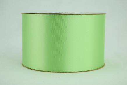 Outdoor Satin Acetate Ribbon Mint