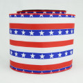 Wired Stars & Stripes Ribbon Red, White & Blue