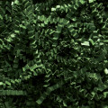 Crinkle Cut Paper Shred Forest Green