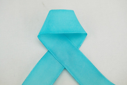 Wired Woven Edge Taffeta Ribbon Navajo Turquoise