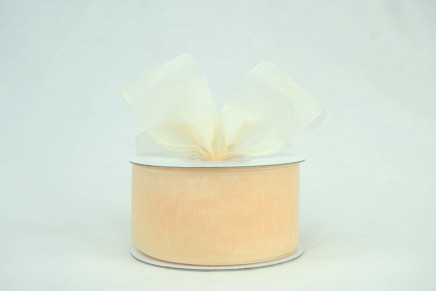 Plain Sheer Organza Ivory