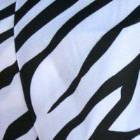 Single Faced Satin Zebra Print