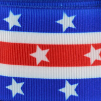 Wired Grosgrain Stars & Stripes