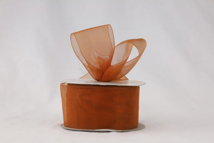 Plain Sheer Organza Copper