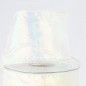 Wired Iridescent Ribbon