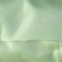 Wired Iridescent Taffeta