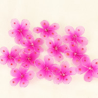 Plumeria Jewel Flowers