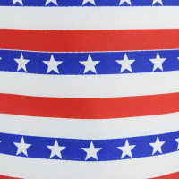Wired Stars & Stripes Ribbon