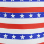Wired Stars & Stripes Ribbon
