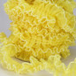 Pleated Organza