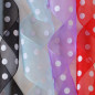 Sheer Organza Polka Dots
