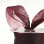 Two Tone Organza