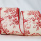 Wired  Toile polyester Ribbon